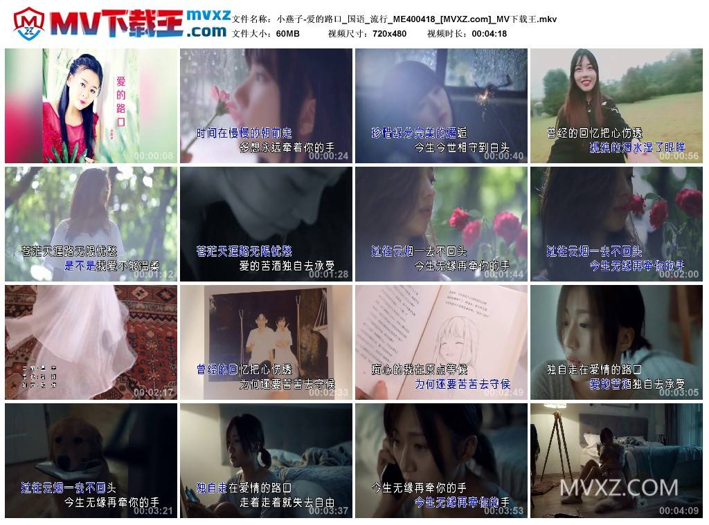 小燕子-爱的路口_国语_流行_ME400418